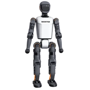 T1