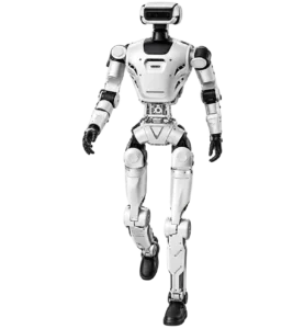 Oli