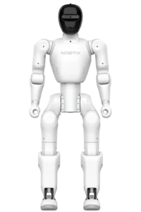Bumi