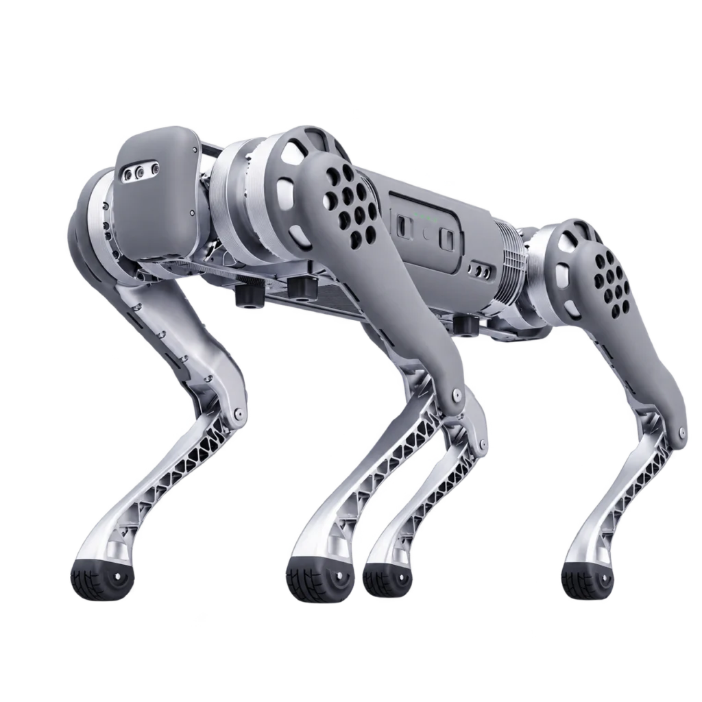B1