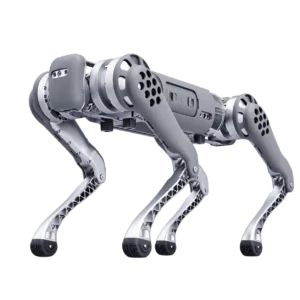B1