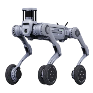 B2-W