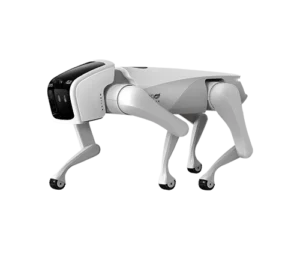 AlphaDog C500