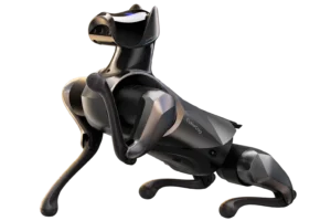 CyberDog 2