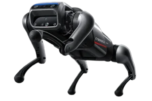 CyberDog