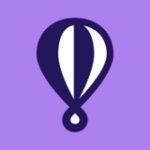 Fly.io company logo